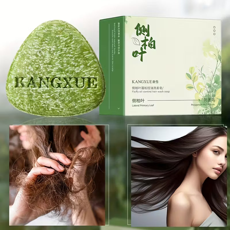Plum Yew Leaf Herbal Shampoo Bar – Oil-Control, Volumising & Deep Cleansing
