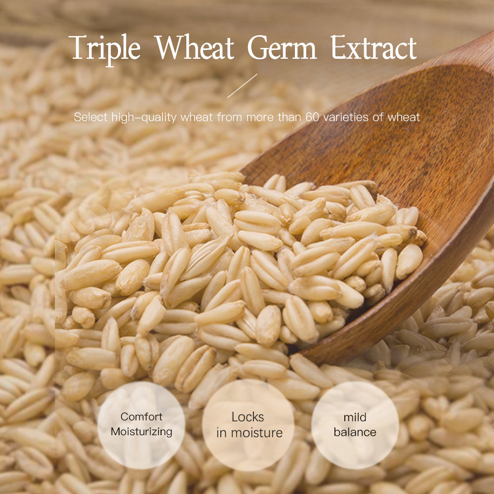 《The Trade & Retail Store》LĒRFM Wheat Germ Hydrating & Protective 6-Piece Set