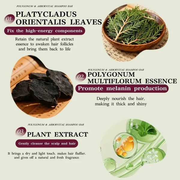 Beautyturess Polygonum Multiflorum & Platycladus Orientalis Leaf Shampoo Bar (120g)