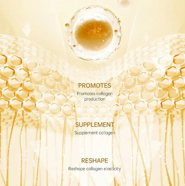 Beautyturess Gold Line Sculpture Six-Pack