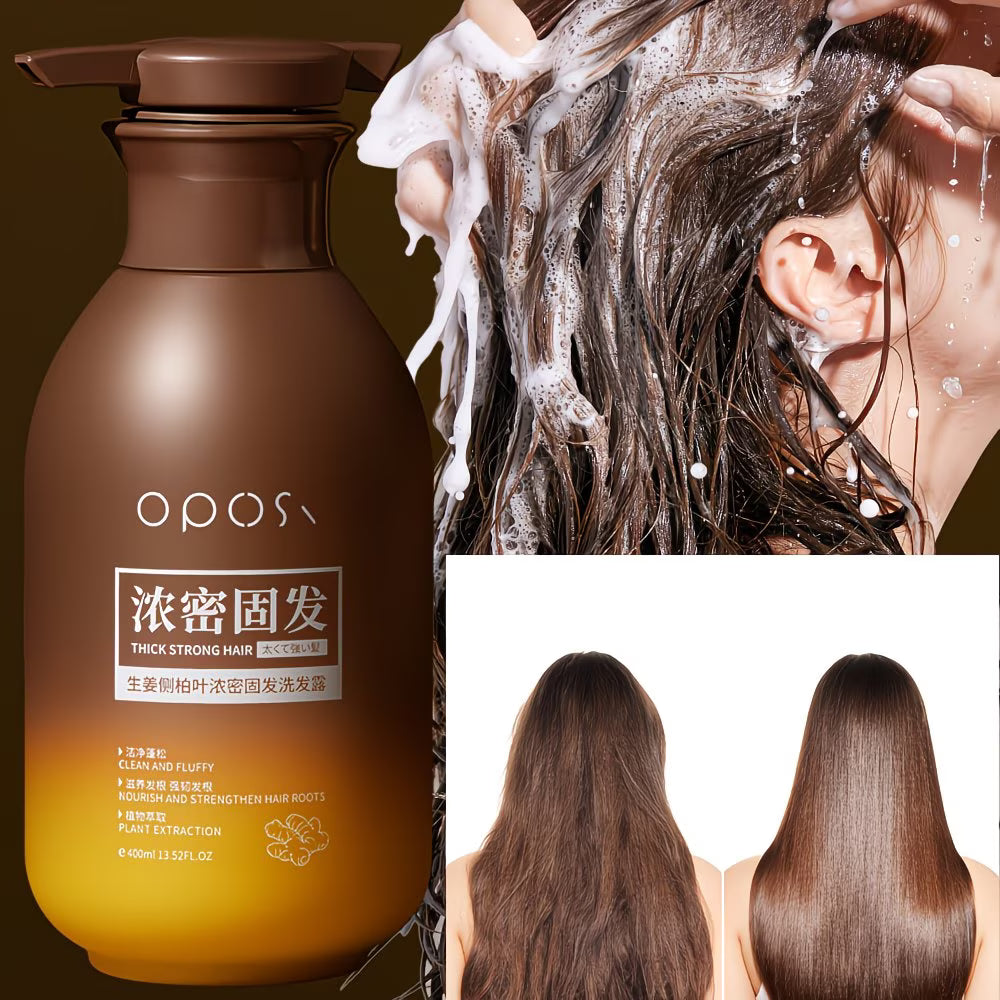 Ingwer- und Lebensbaumblatt-Shampoo für dichtes Haar – 400 ml